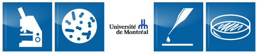 Stérilisation Université de Montréal asepsie  asepsis orthodontistes lemay